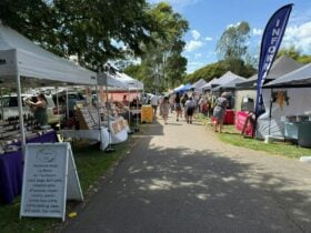 Mirboo North Market stalls
