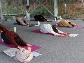 People performing yoga on yoga mats