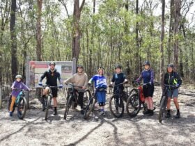 A group photo of the women