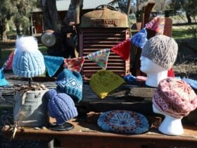 Taken at the Alexadra Timber Tramway Museum