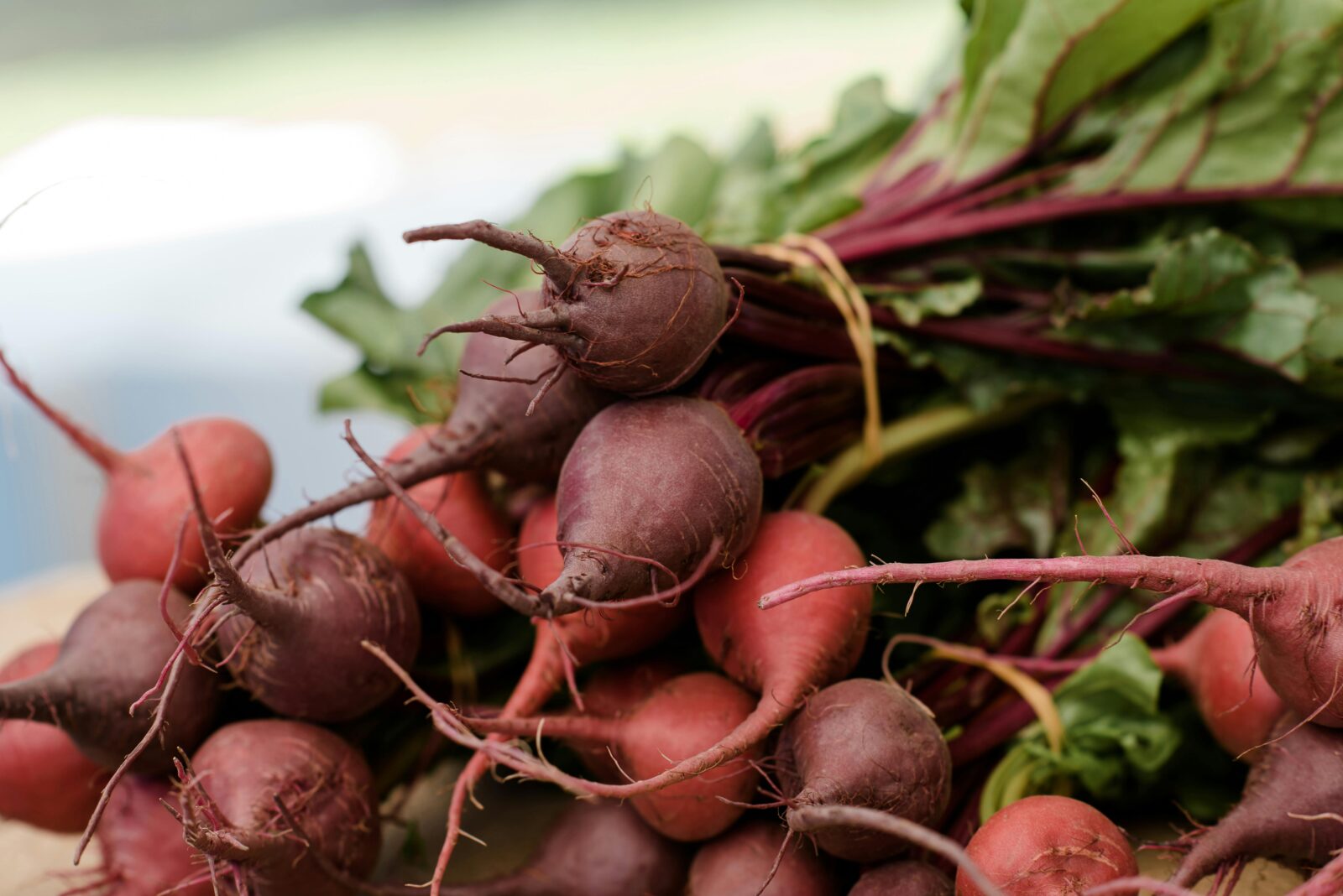 Heirloom beetroots