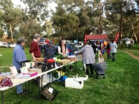 Stall holders and visitors at the market with large gum trees in the background.