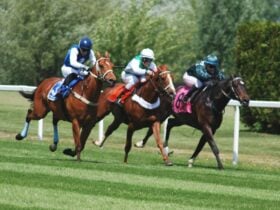 Oaks Day Fundraising luncheon at 360Q Queenscliff Harbour smith family ocean grove view club