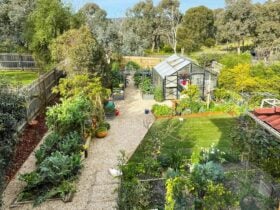 Open Gardens Victoria - Inge's Little Garden, overview of backyard