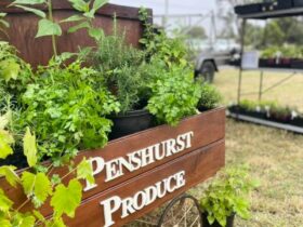 Penshurst Market