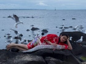 A woman is lying on rocks with seagulls and fish