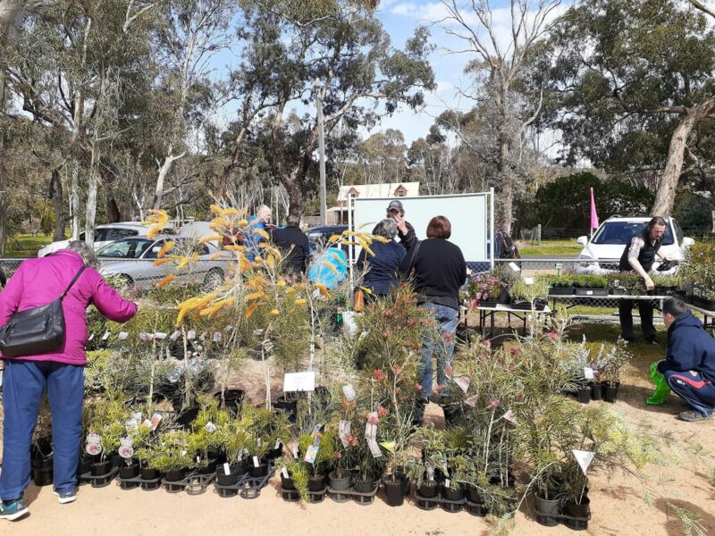 Plant stalls