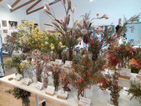 Native Plant Display
