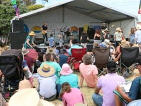 Large Stage with entertainers and families watching