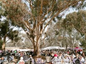 A large crowd of people outside enjoying the Pyrenees Unearthed Festival