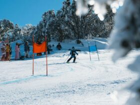 Rossignol Cup