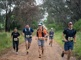 Mt Elliot trail running not far from Corryong