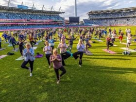 Serenity in the Stadium