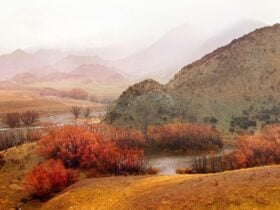 hills rain mist