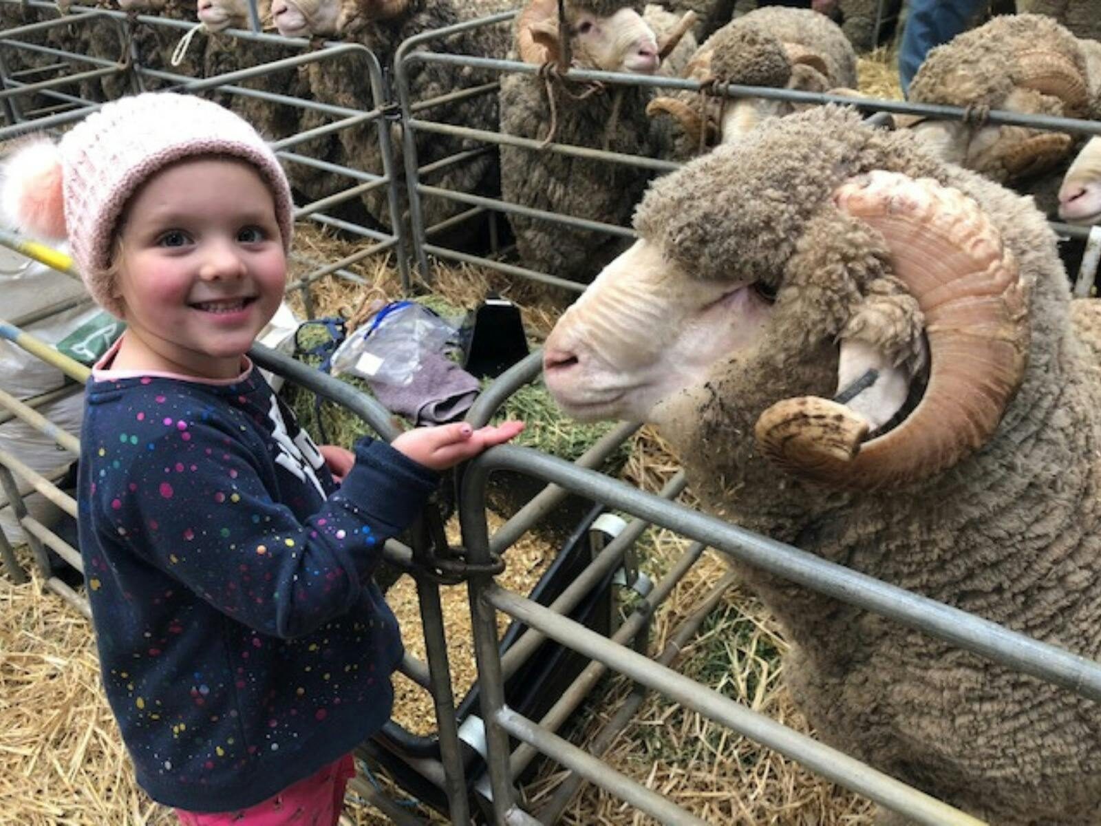 Sheepvention