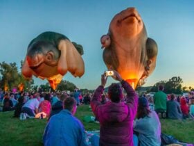 Patricia Piccinini, Skywhale , 2013 and Skywhalepapa , 2020, National Gallery of Australia