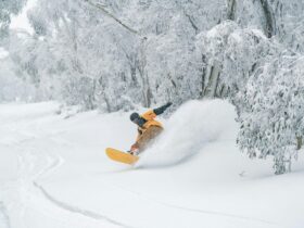 Snowboard Demo Days