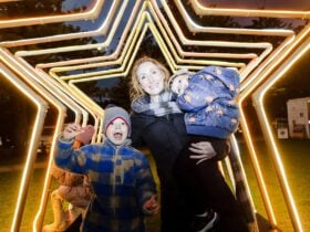 Solstice Search Party