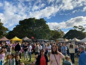 Street Food Trucks