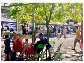 Family sitting under a tree in a market setting