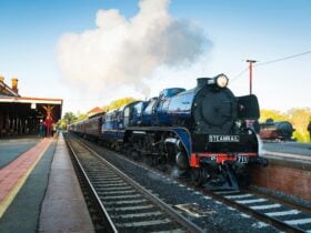 Steamrail Victoria Locomotive R711