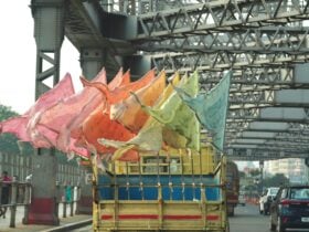 Golper Setu from the exhibition Story Bridge