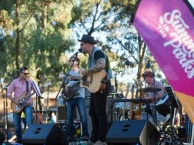 A man singing on a stage holding a guitar