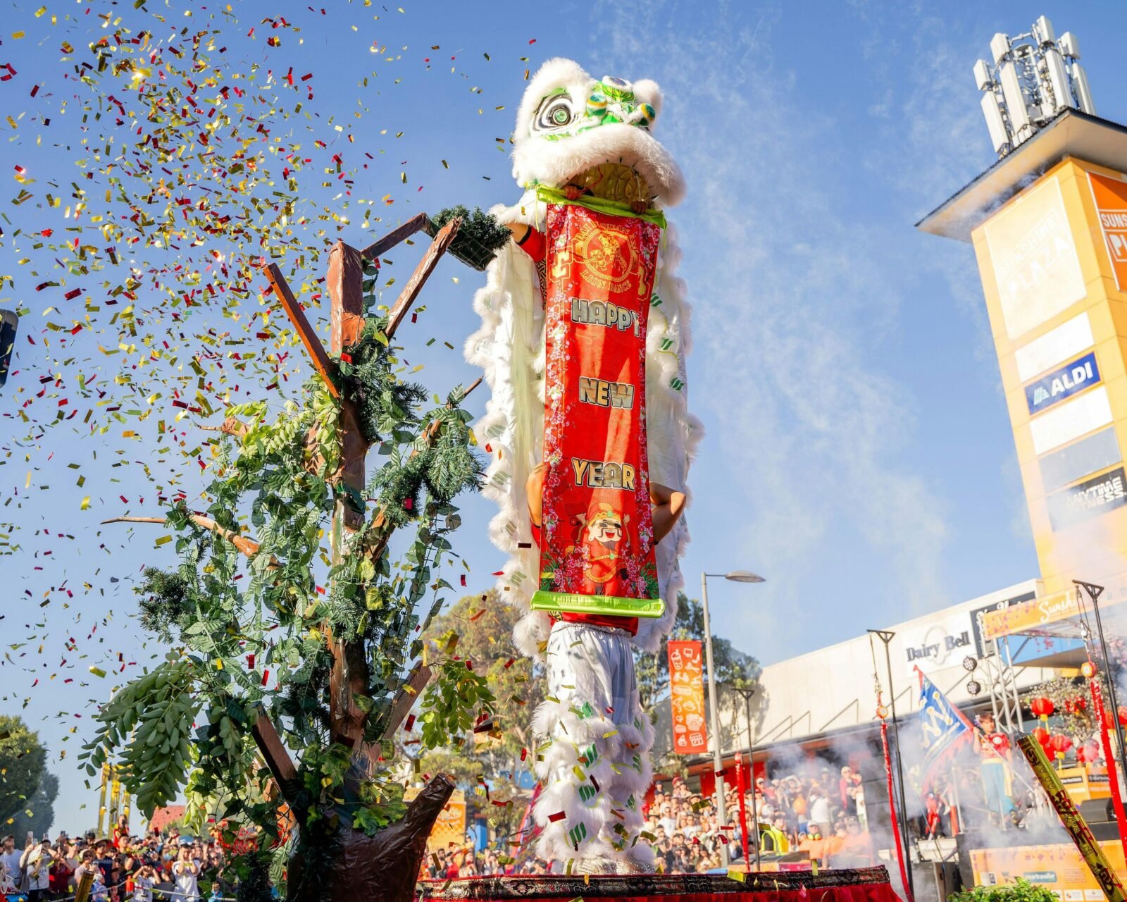 Traditional dragon dance celebrations with large crowd watching