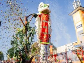 Traditional dragon dance celebrations with large crowd watching
