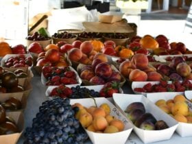 A range of stone fruits on a table