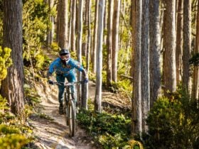 rider in amongst dense forest at Mystic Bike Park with party shirt for Trail Wake event