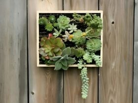 vertical succulent garden on a wall