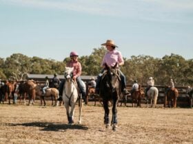 Wannon River Campdraft