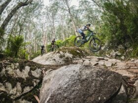 Mountain bike riders jumping in the forest