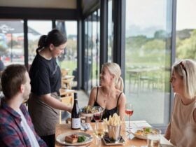 Staff member talking to a guest seated at a table with wine and food