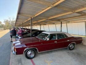Cars lining up for Scruntineering