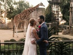 Wishful Weddings Expo at Melbourne Zoo