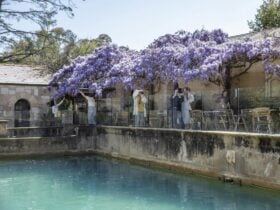 Wisteria at Montsalvat