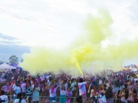 wyndham holi