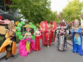 Wyndham Multicultural Lunar Festival