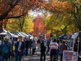A crowd of people browsing market stalls . Orange and yellow Autumn leaves above.