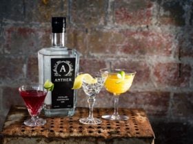 Anther Gin Martini's - enjoy seasonal cocktails at the Anther Distillery!