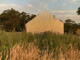 Babche Wines Winery & Vineyard