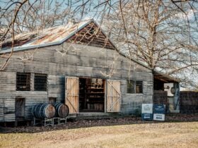 Barking Owl Still House
