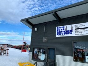 Blue Brumby Exterior