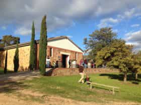 Soaking up the sun on the winery platform