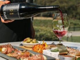 Vineyard views and wine tasting at Cellar Door at The Farm