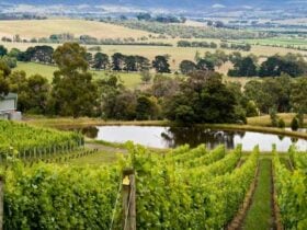 Coldstream