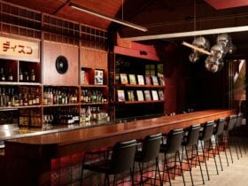 Disuko Vinyl Bar Dark Moody