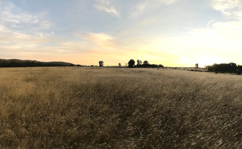 Panorama at Envy Distilling